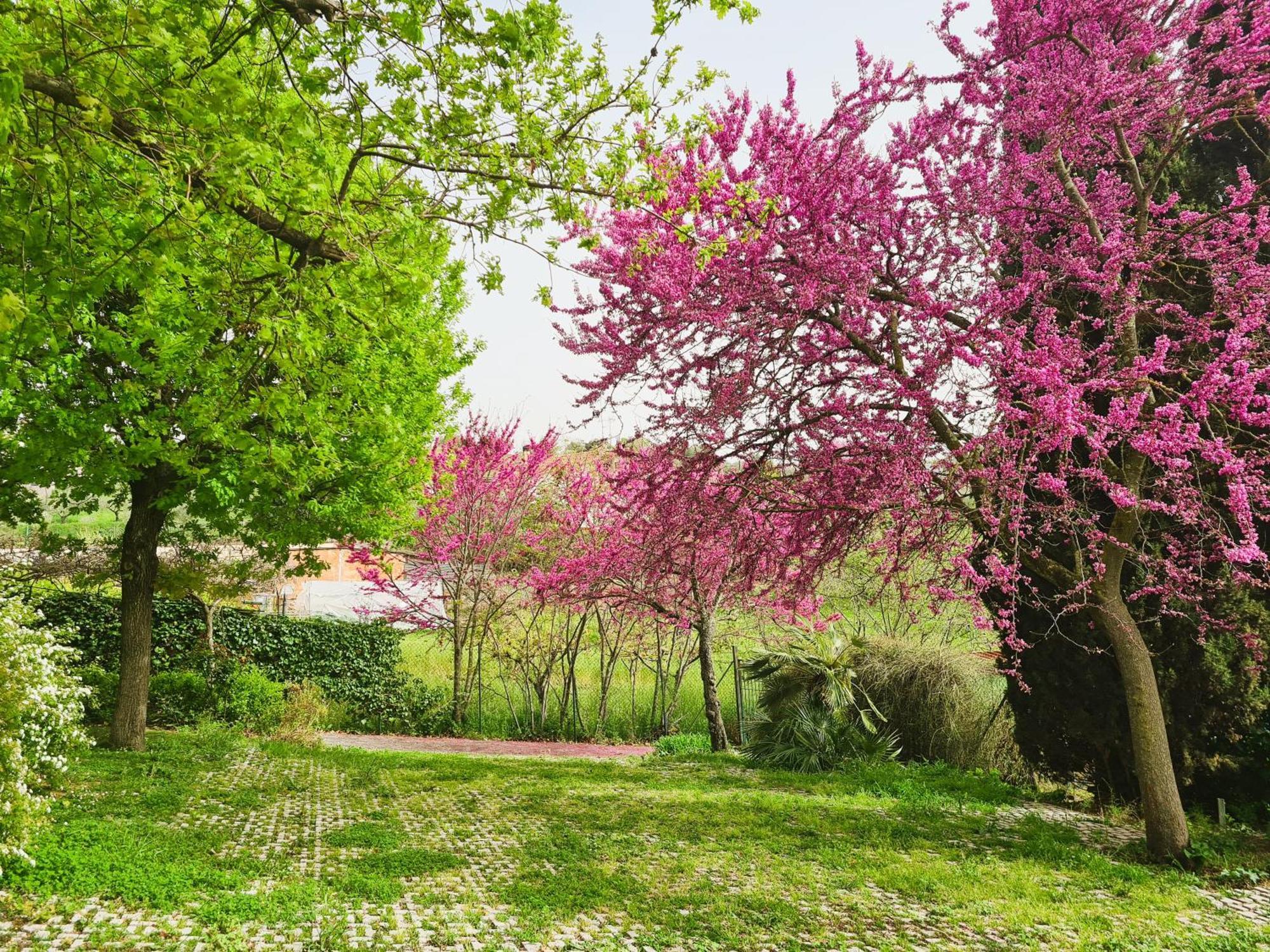Il Parco Holiday - Locazione Turistica Fonte Nuova المظهر الخارجي الصورة